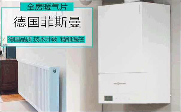 菲斯曼燃氣壁掛爐