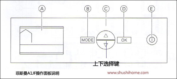 菲斯曼壁掛爐安裝
